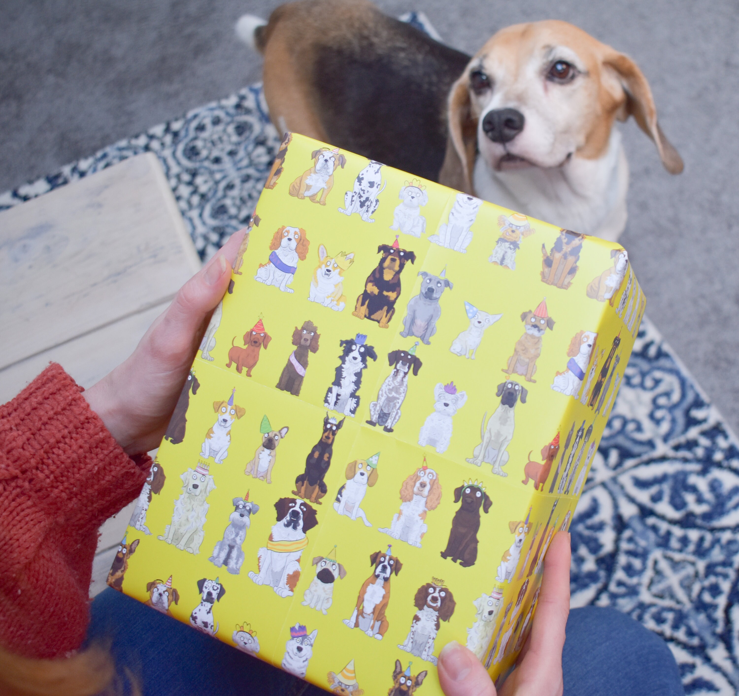Dog edible wrapping clearance paper