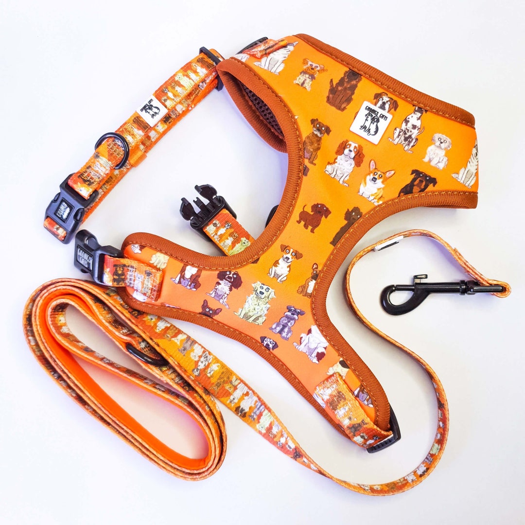 Orange Dog Harness Set, Adjustable Dog Harness, Harness Collar Lead Set