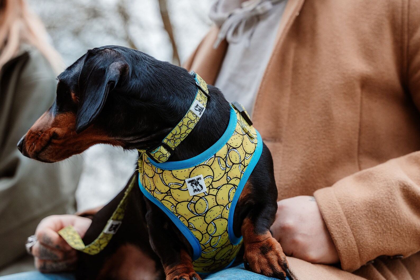 Tennis Ball Dog Collar Yellow Dog Collar Dog Tennis Ball Etsy