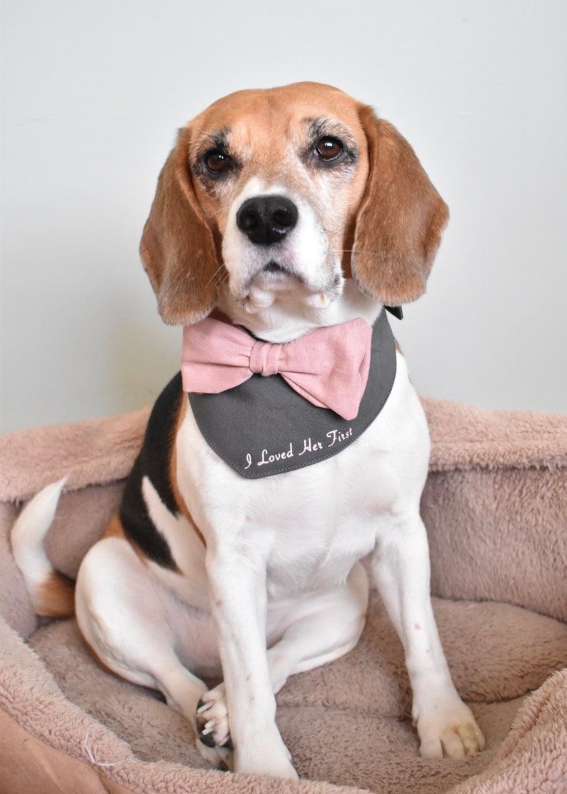 Custom Wedding Dog Outfit Personalised Dog Dog Wedding Etsy UK