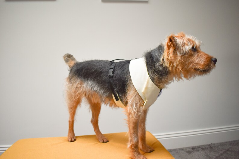 Dog Suit Harness Sewing Pattern Size EXTRA Large Dog Tuxedo Etsy