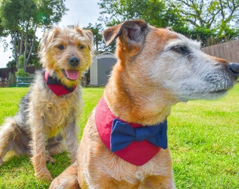 Red Dog Wedding Suit, Wedding Dog Collar, Red Wedding Bandana, Dog Wedding Attire, Wedding Dog Bow Tie, Red Wedding Suit