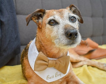 Custom wedding dog outfit, personalised dog, Dog wedding attire, best dog bandana, Dog bow tie, pet wedding guest, Beige Brown and white