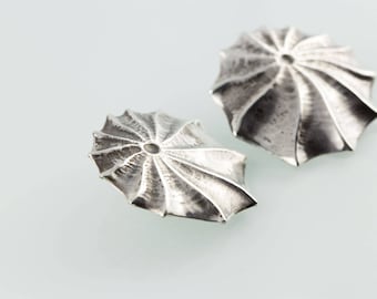 earrings - Silbermuschel No.2