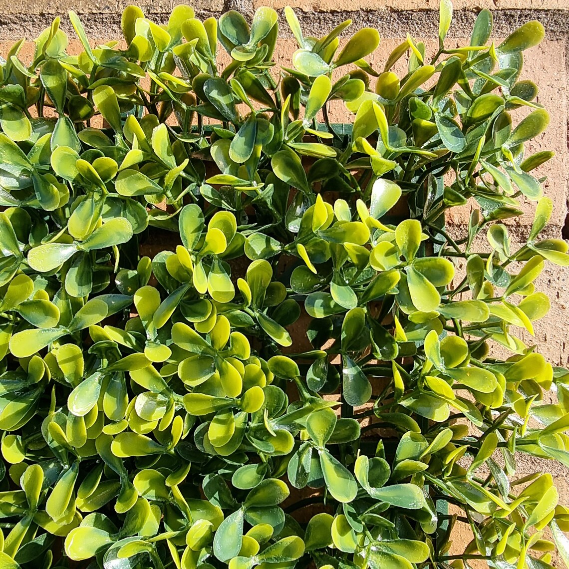 Artificial Yellow Boxwood 50x50cm Tile Garden Fence Privacy Screening