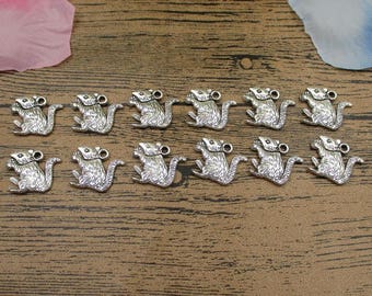 20 eekhoornbedels, antiekzilverkleurige dubbelzijdige hanger-RS701