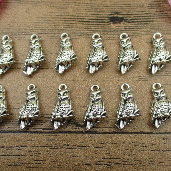 12 Owl Charms,Antique Silver Tone-RS564