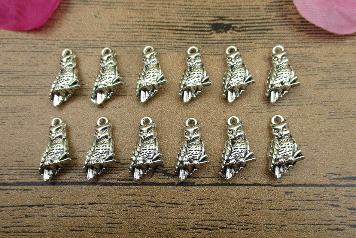 12 Owl Charms,Antique Silver Tone-RS564
