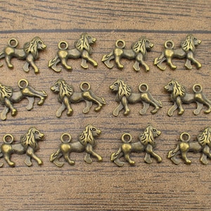 20 Lion Charms,Antique Bronze Tone Double Sided-RS956