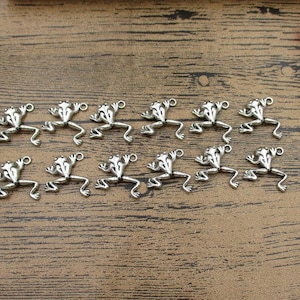 20 Frog Charms,Antique Silver Tone-RS738