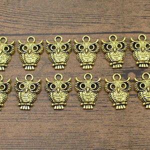 12 Owl Charms,Antique Gold Tone-RS848