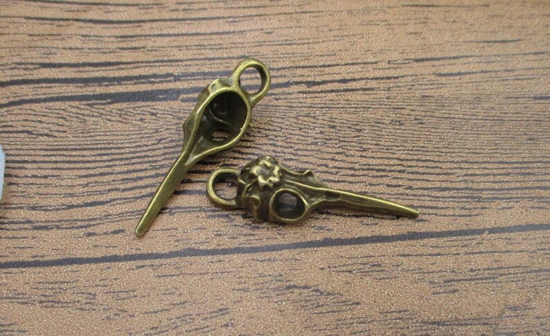 4 Bird Skull Charms,Antique Bronze Tone-RS1121