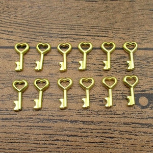 20 Little Gold Key Charms-RS789