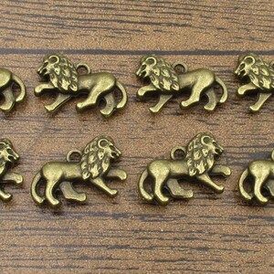 8 Lion Charms,Antique Bronze Tone 3D-RS1270