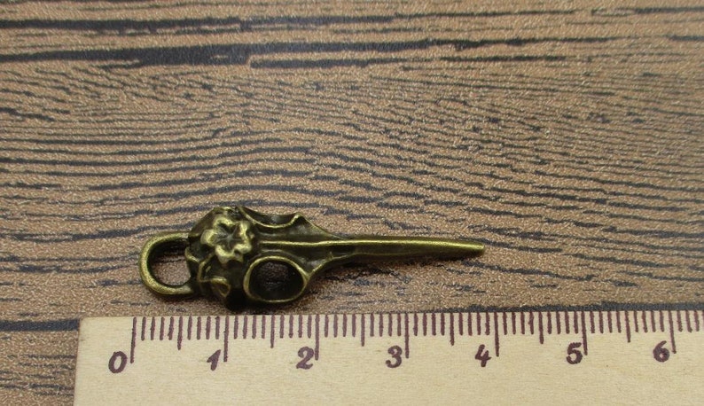 4 Bird Skull Charms,Antique Bronze Tone-RS1121