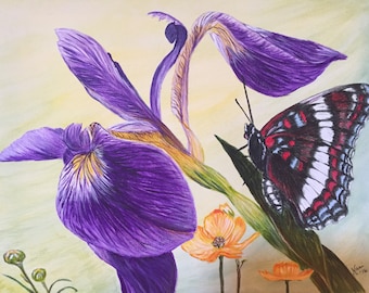 Butterfly & Iris