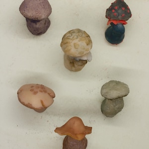 Decorative Mushroom Magnets
