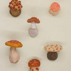 Decorative Mushroom Magnets