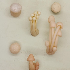 Decorative Mushroom Magnets