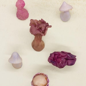Decorative Mushroom Magnets