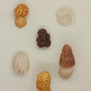 Decorative Mushroom Magnets