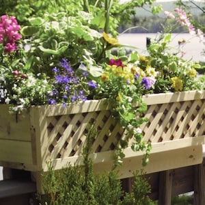 May include: A wooden planter box with a lattice design on the front. The planter is filled with a variety of colorful flowers, including pink, purple, yellow, and white.