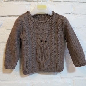 May include: A brown knitted sweater with a detailed owl design on the front. The sweater features a round neckline, long sleeves, and cable knit detailing on the front. The owl has large, round eyes. The sweater is hanging on a white hanger against a white brick wall.