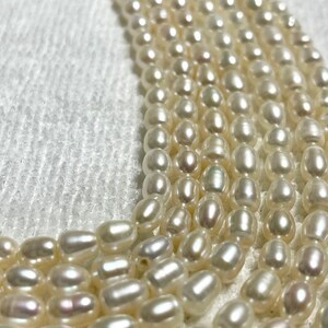 6 x 7-8mm weiß Oval Reis Perle, hohe Qualität, AA-Grade, echte Perlen, sehr hohe Glanz, voller Strang, Preis pro Strang, PRL167