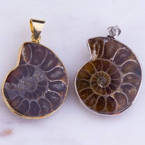 Ammonite Fossil Pendant, Iridescent, Fossil Jewelry, Ammonite Jewelry, Necklace Pendant, Handmade, Nature Inspired, Priced per Piece, PD018