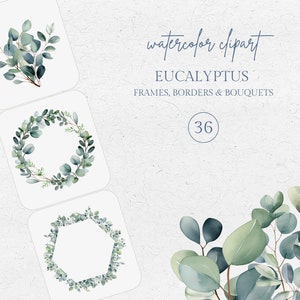 Watercolor Eucalyptus Leaves Clipart, Green Wedding Invitation, Eucalyptus Bouquet Frame, Eucalyptus Greenery Leaves Branches Border PNG