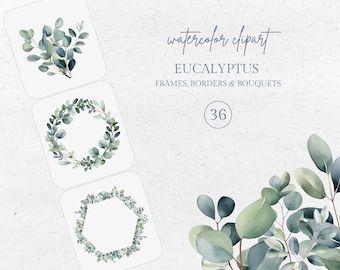 Watercolor Eucalyptus Clipart: Greenery Frames, Bouquets (PNG, Instant Download)