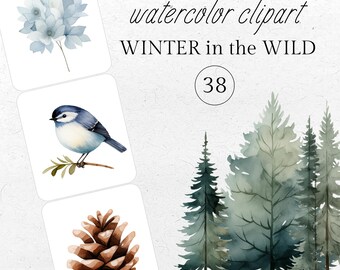 Watercolor Winter Forest Clipart: Pine Trees, Birds, Snowflakes (Digital Download)