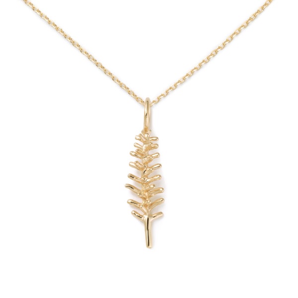Rosemary Remembrance Etsy