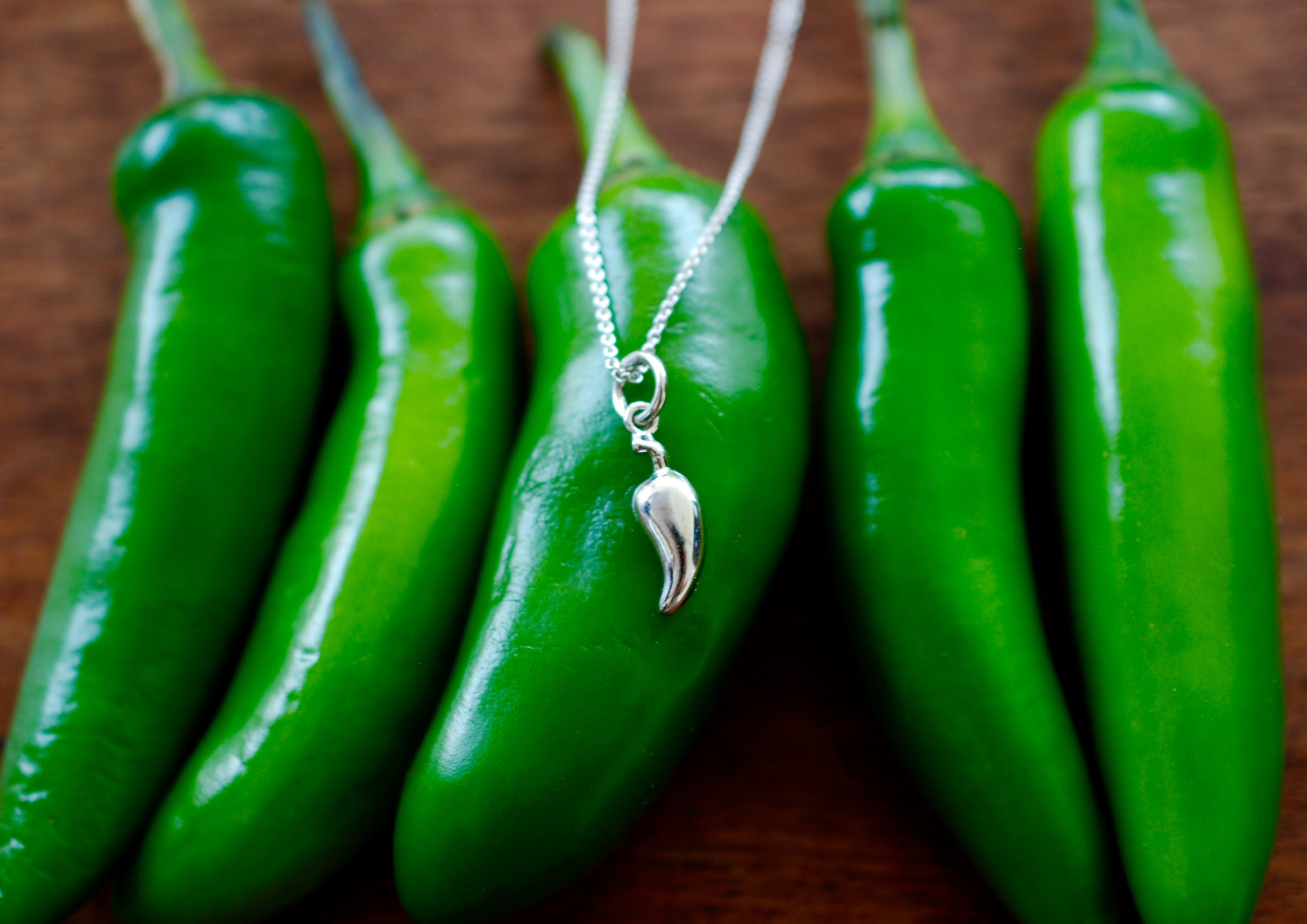 Chili Pepper Necklace Sterling Silver by Delicacies Jewelry Etsy