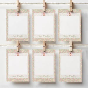 May include: Six printable cards with a floral pattern border. Each card has a white space for a photo and text that reads "One Month", "Two Months", "Three Months", "Four Months", "Five Months", and "Six Months".