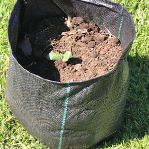 Grow bags