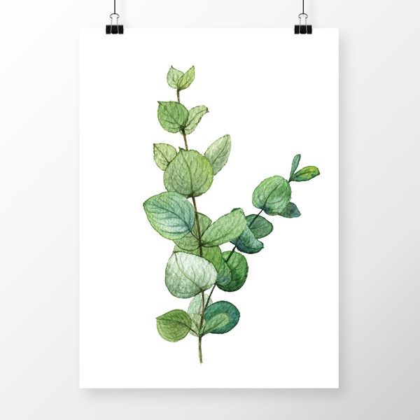 EUCALYPTUS leaf Watercolor Art DIGITAL PRINT- Watercolor Printable Botanical Illustration- Art Print- 8x10 Instant Download