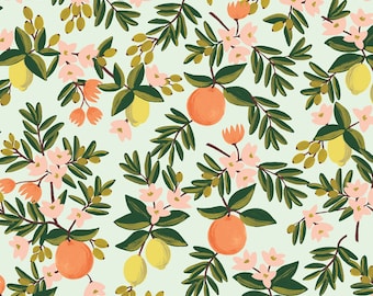 Algodón y Acero - Primavera de Rifle Paper Co - Citrus Floral in Mint - Vendido cortado a medida