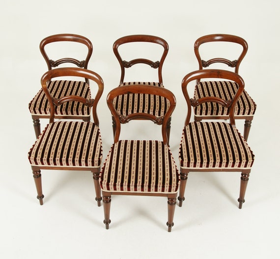 Antique Dining Chairs 6 Balloon Back Chairs Walnut Etsy
