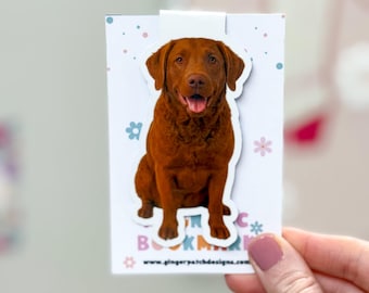 Red Chesapeake Dog Magnetic Bookmark