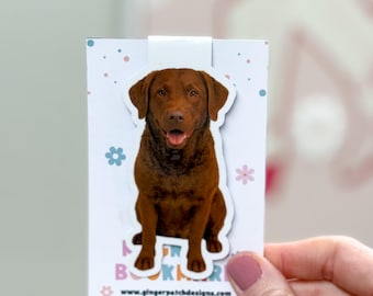 Brown Chesapeake Dog Magnetic Bookmark