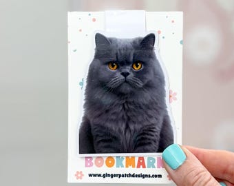 Gray Persian Cat Magnetic Bookmark - High Quality Photo Paper - Glossy Laminate Bookmark - Magnetic Closure Bookmark - Kids Bookmarks