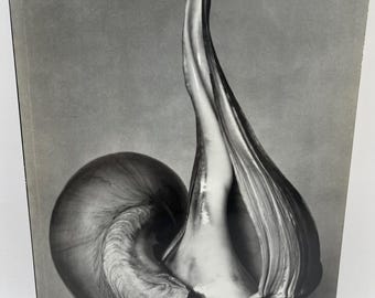 EDWARD WESTON ~ EW 100 Centennial Essays in Honor of Weston, The Friends of Photography, Carmel, Robert Adams, Charis Wilson, vintage book