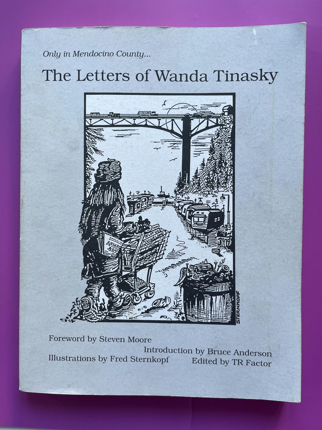 Wanda Script Letters Image The Letters of Wanda Tinasky ~ T. R. Factor; Bruce Anderson, Thomas ...