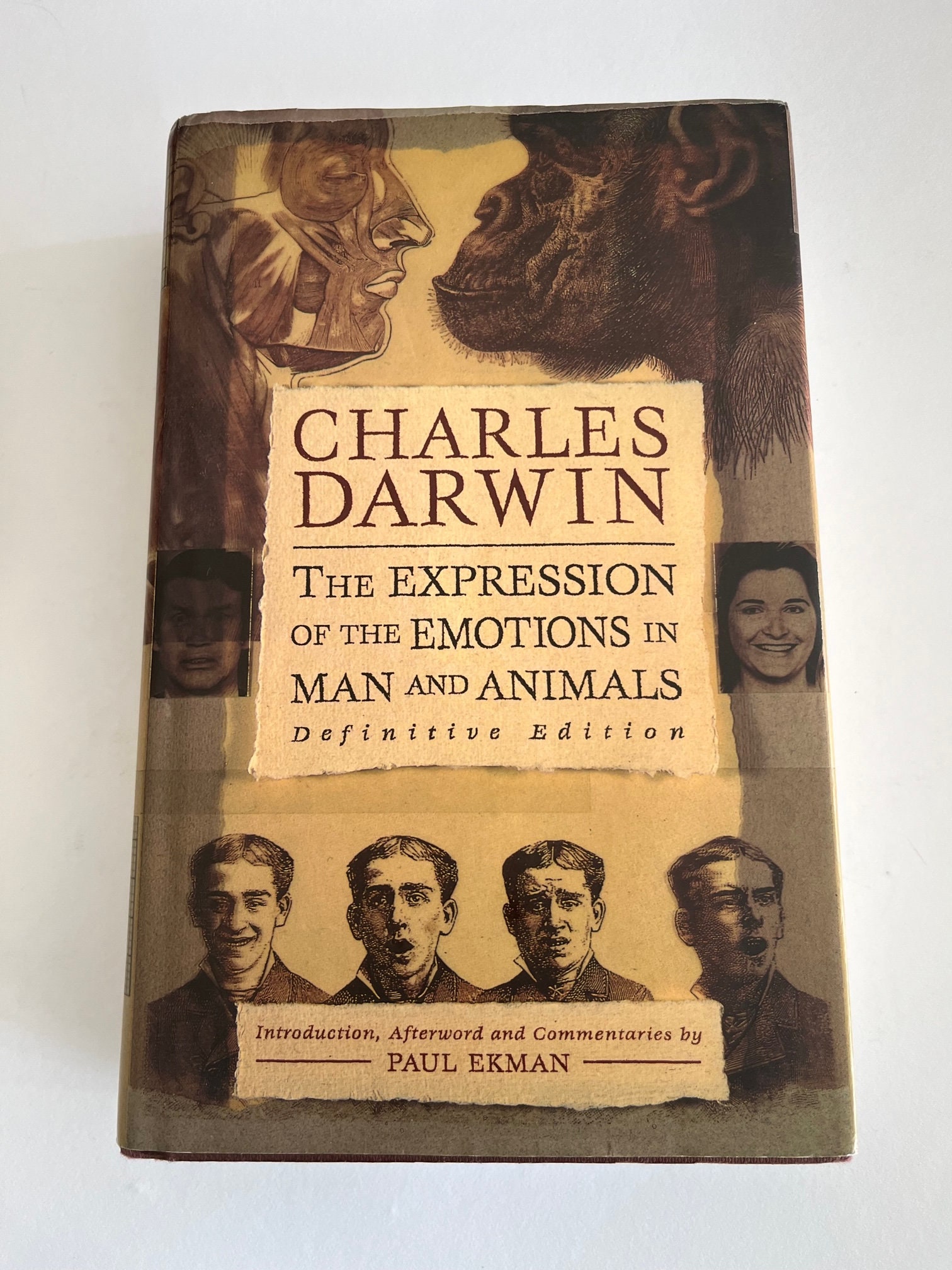 CHARLES DARWIN EXPRESSION of the Emotions in Man and - Etsy CHARLES DARWIN EXPRESSION of the Emotions in Man and - Etsy