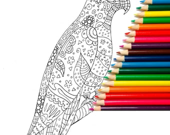 Color your Parrot! Coloring Page for Adults INSTANT DOWNLOAD