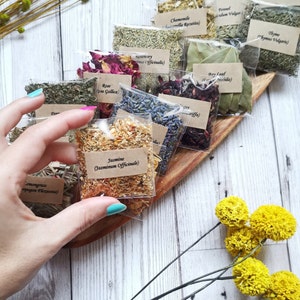 Può includere: Assortimento di erbe e fiori secchi in piccoli sacchetti di plastica trasparente etichettati con i loro nomi comuni e botanici. I sacchetti sono disposti su una superficie di legno. Le erbe includono camomilla, finocchio, timo, rosmarino, alloro, rosa, lavanda, gelsomino e citronella.