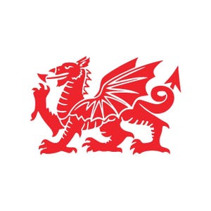 Welsh Dragon Vinyl Decal – Cymru Y Ddraig Goch Sticker – Die Cut Dragon Car Decal, Laptop Sticker, Wales Pride Gift