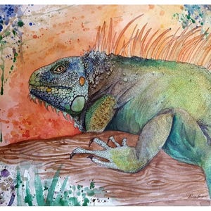 Lámina artística de iguana