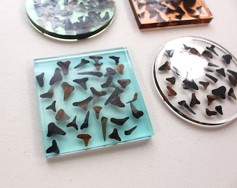 May include: Various shapes of shark teeth encased in clear resin, displayed on a white surface. The resin is in different shapes, including a square, a circle, and a rectangle. The teeth are in shades of brown and black.
